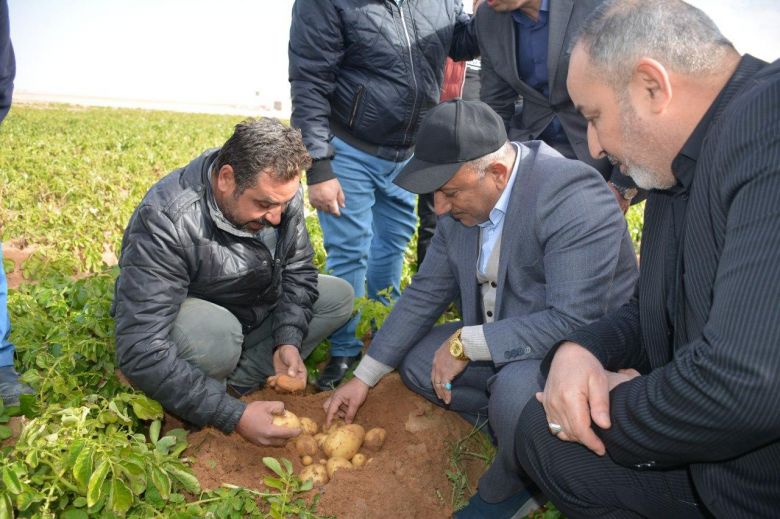 الخطابي يؤكد أن كربلاء شهدت ثورة حقيقية في المجال الزراعي بعد تقديم الدعم الحكومي اللا محدود