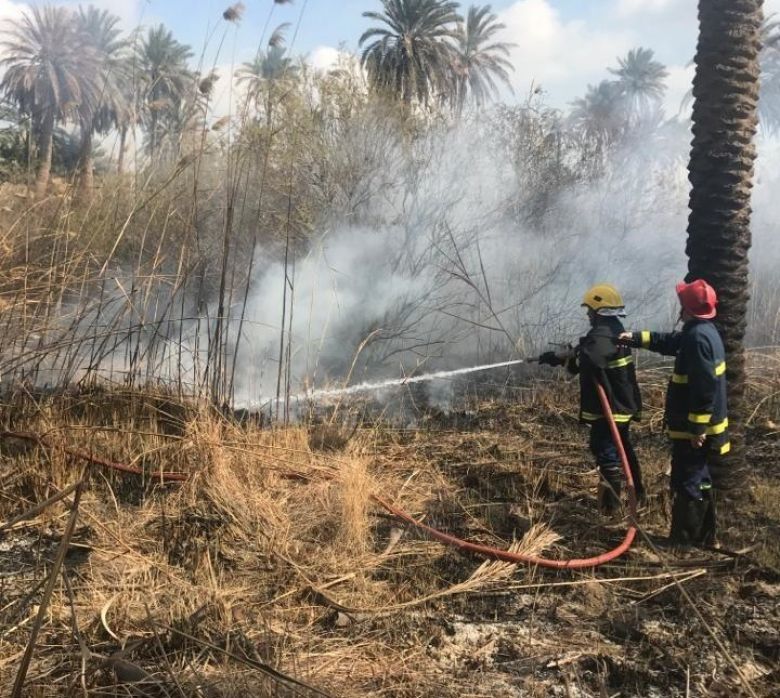 الدفاع المدني يسيطر على حريق اندلع في بستان شمال كربلاء