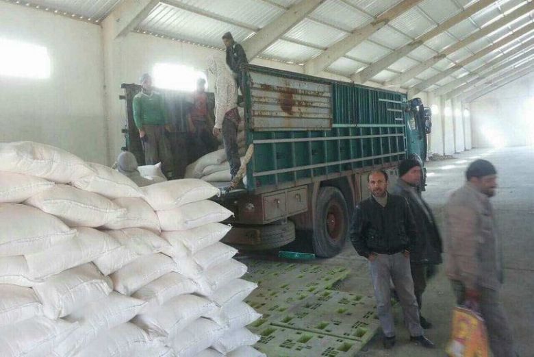 التجارة تعلن تجهيز المطاحن بمادة الحنطة
