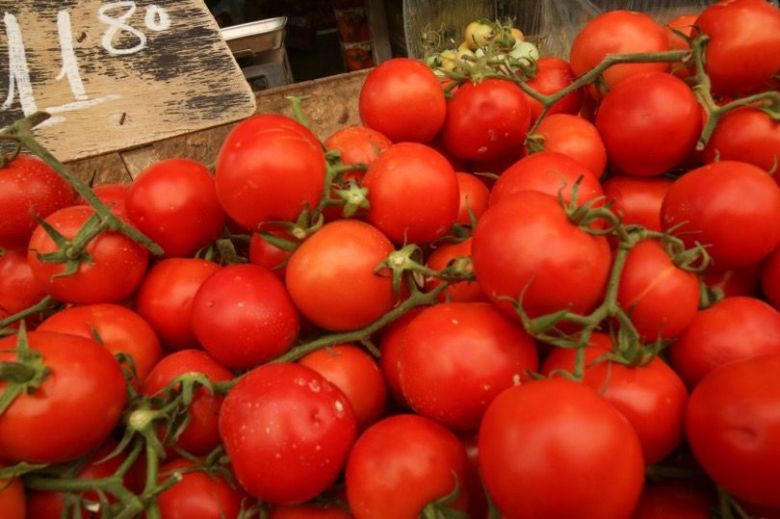 الزراعة تعلن عن زيادة أنتاج محصول الطماطم في محافظتي كربلاء والنجف