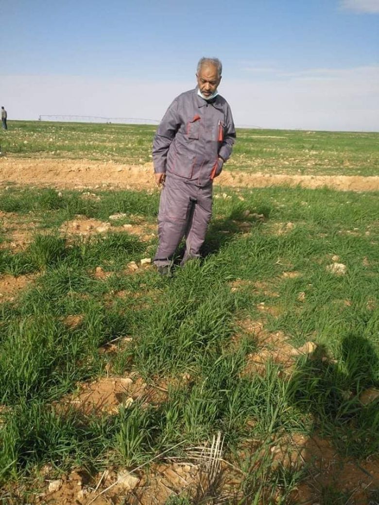 الزراعة تكشف عن عمليات تحري لإسراب الجراد الصحراوي في بادية كربلاء