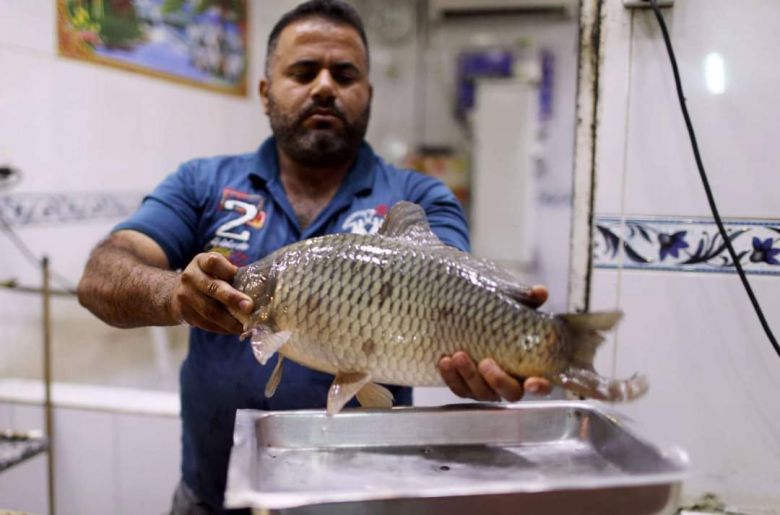 مشاريع الأسماك المجازة في كربلاء تسوق 60 ألف سمكة
