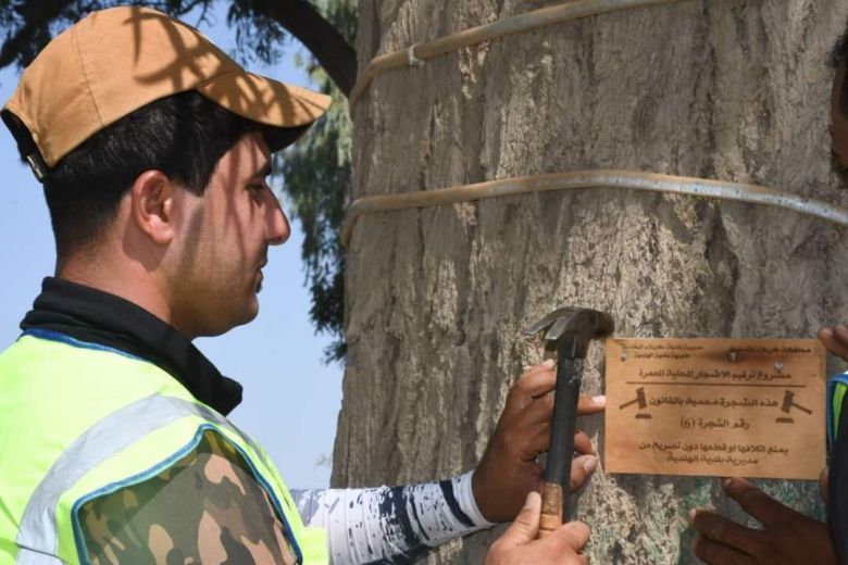 بلدية الهندية تطلق مشروع حماية الأشجار المعمّرة وتدعو الأهالي إلى التعاون معها