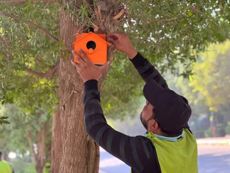 بالصور.. بلدية الهندية تطلق حملة توفير أماكن للطيور في الحدائق العامة