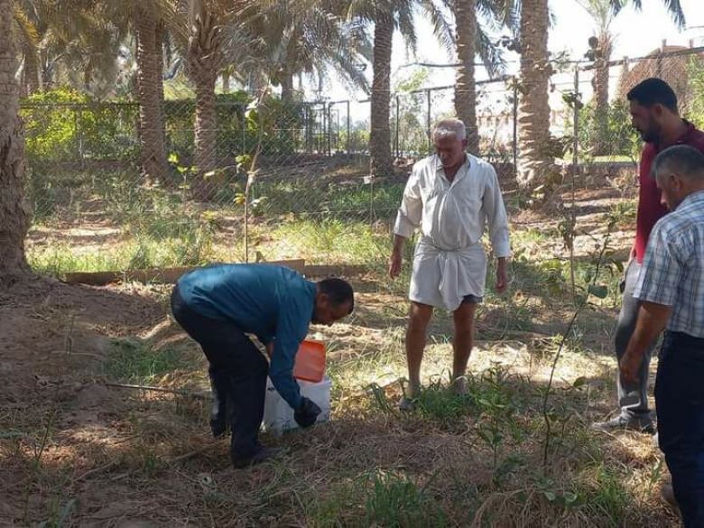 زراعة كربلاء تعلن انهاء حملة واسعة لمكافحة قوارض البساتين في قضاء الهندية