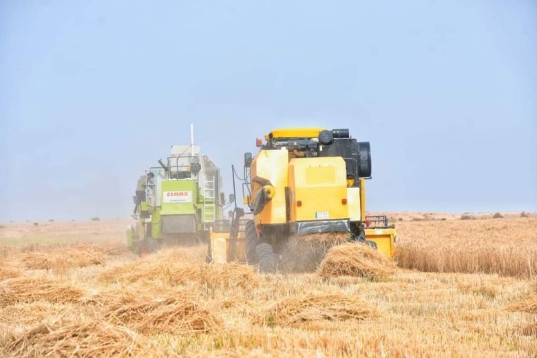 زراعة الجدول الغربي تعلن عن حصاد 2421 دونم من محصول الحنطة