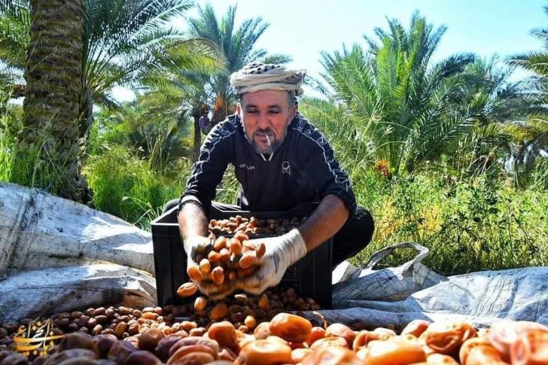 بالصور.. فيض من خيرات كربلاء