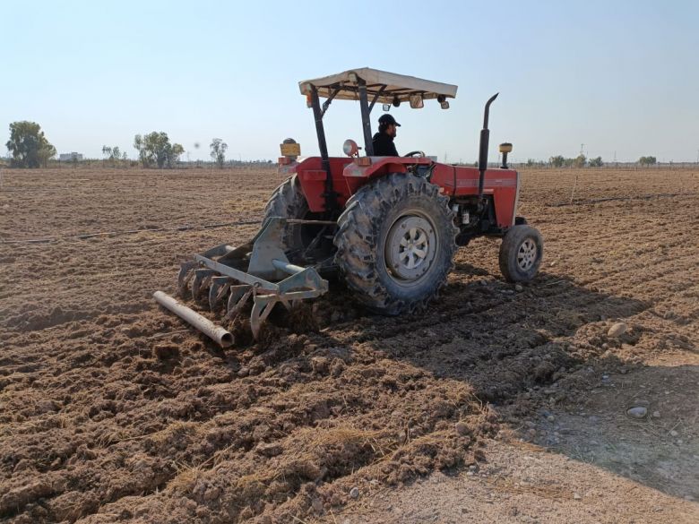 زراعة الجدول الغربي تعلن عن استعداداتها الخاصة بزراعة محصول الحنطة