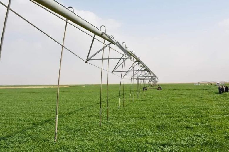 زراعة كربلاء  تحدد المساحة المخصصة لزراعة محصولي   الحنطة والشعير   للموسم 2023-2024