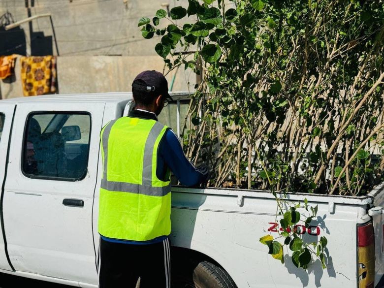 دوائر كربلاء الحكومية تباشر بزراعة وتشجير خمس ملايين شجرة ونخلة