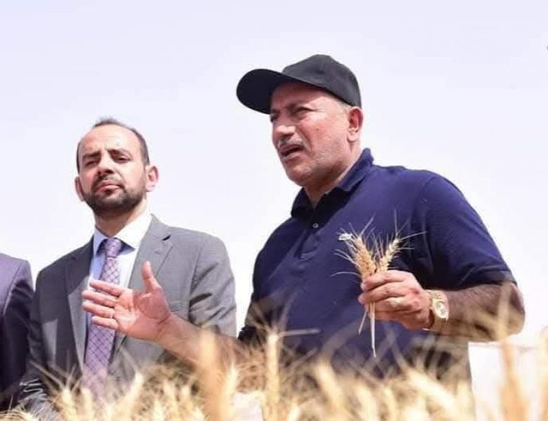 كربلاء تسجّل رقماً قياسياً جديداً في إنتاج وتسويق الحنطة للموسم الزراعي 2024-2025