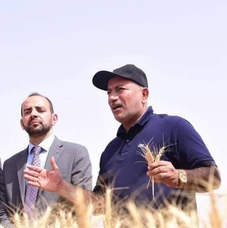 كربلاء تستكمل استعداداتها لموسم حصاد الحنطة وتحقق اكتفاء ذاتيا مع فائض إنتاجي