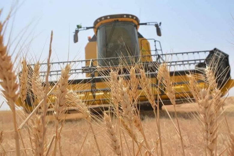 المنتجات النفطية في كربلاء المقدسة تطلق حصص الكاز الوقودية لدعم المزارعين خلال موسم الحصاد